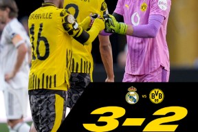 爱游戏体验包含意甲赛程吃紧，尼斯加时末段迎来里程碑，信心回归，临场指挥获称赞的词条